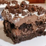Chocolate cake with pudding filling